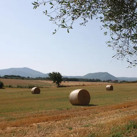 Ippocastano Oda ve Kahvaltı Viterbo