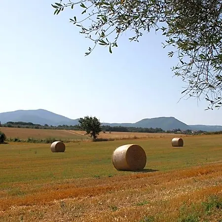 Ippocastano