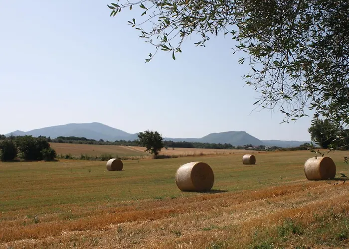 Ippocastano Bed and Breakfast Βιτέρμπο