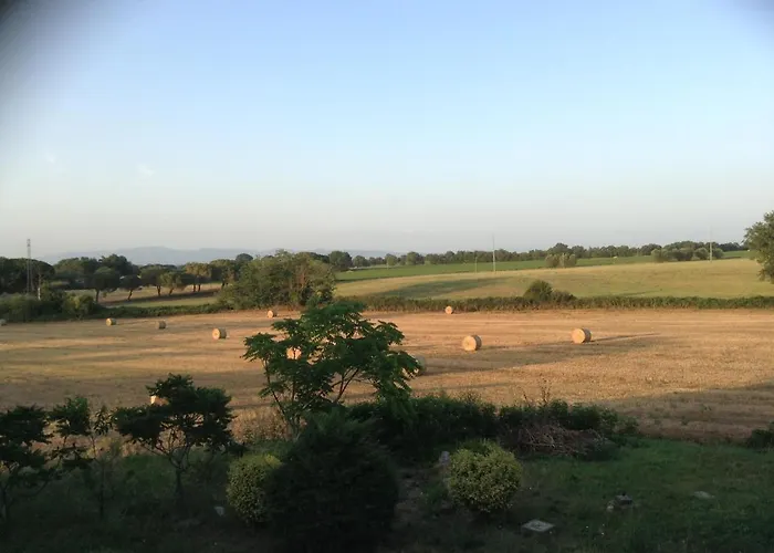 Ippocastano 3* Βιτέρμπο