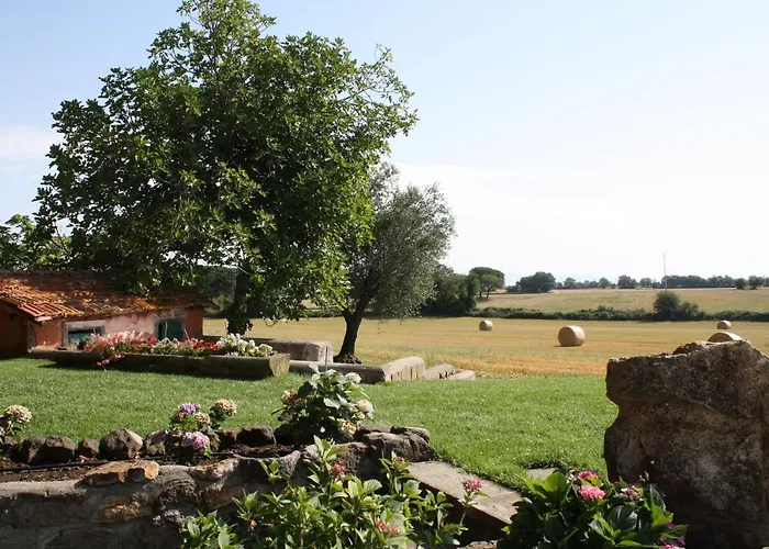 Ippocastano Bed and Breakfast Βιτέρμπο